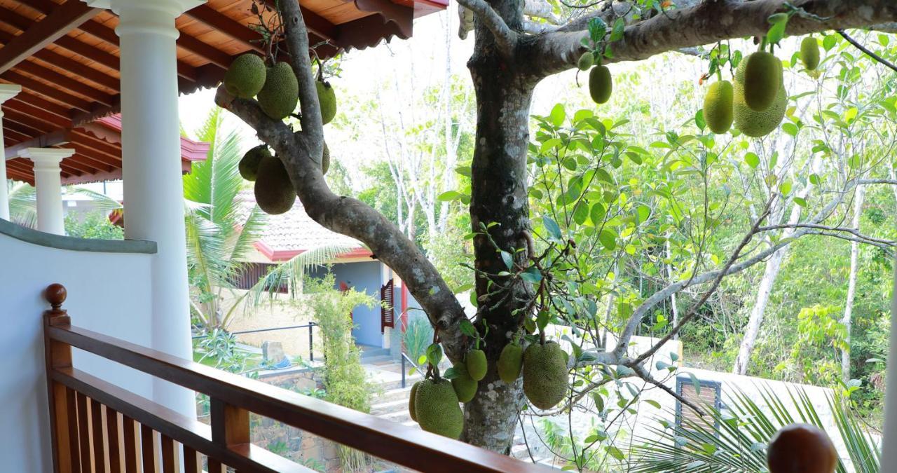 Terrace Garden Ayurveda Resort Weligama Ngoại thất bức ảnh