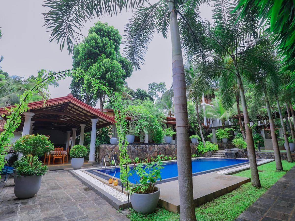 Terrace Garden Ayurveda Resort Weligama Ngoại thất bức ảnh