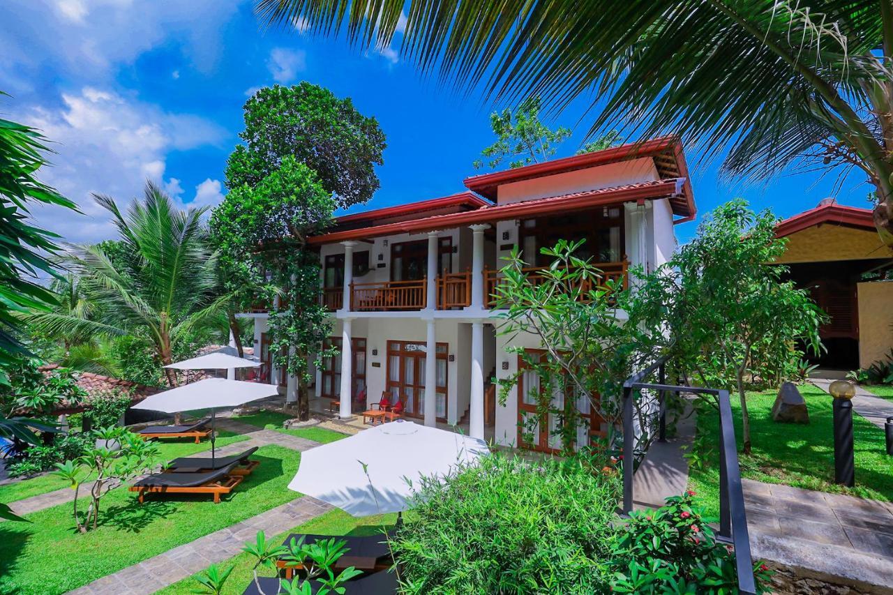 Terrace Garden Ayurveda Resort Weligama Ngoại thất bức ảnh