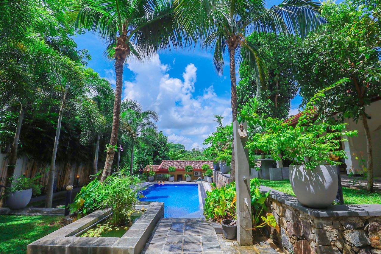 Terrace Garden Ayurveda Resort Weligama Ngoại thất bức ảnh