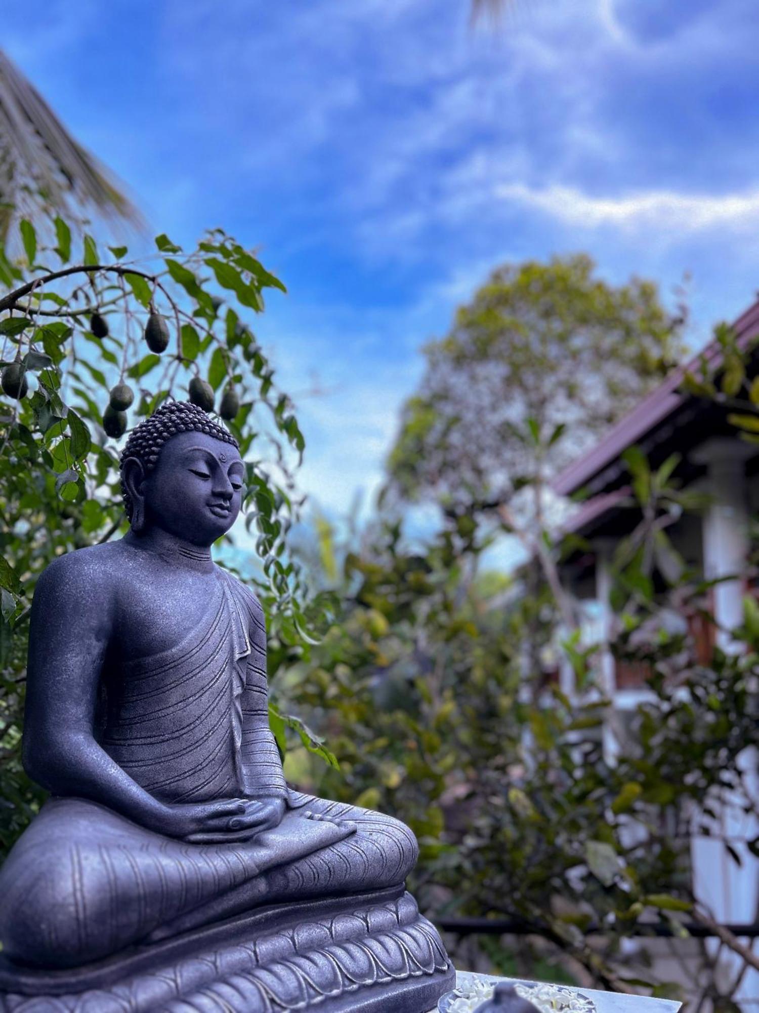 Terrace Garden Ayurveda Resort Weligama Ngoại thất bức ảnh