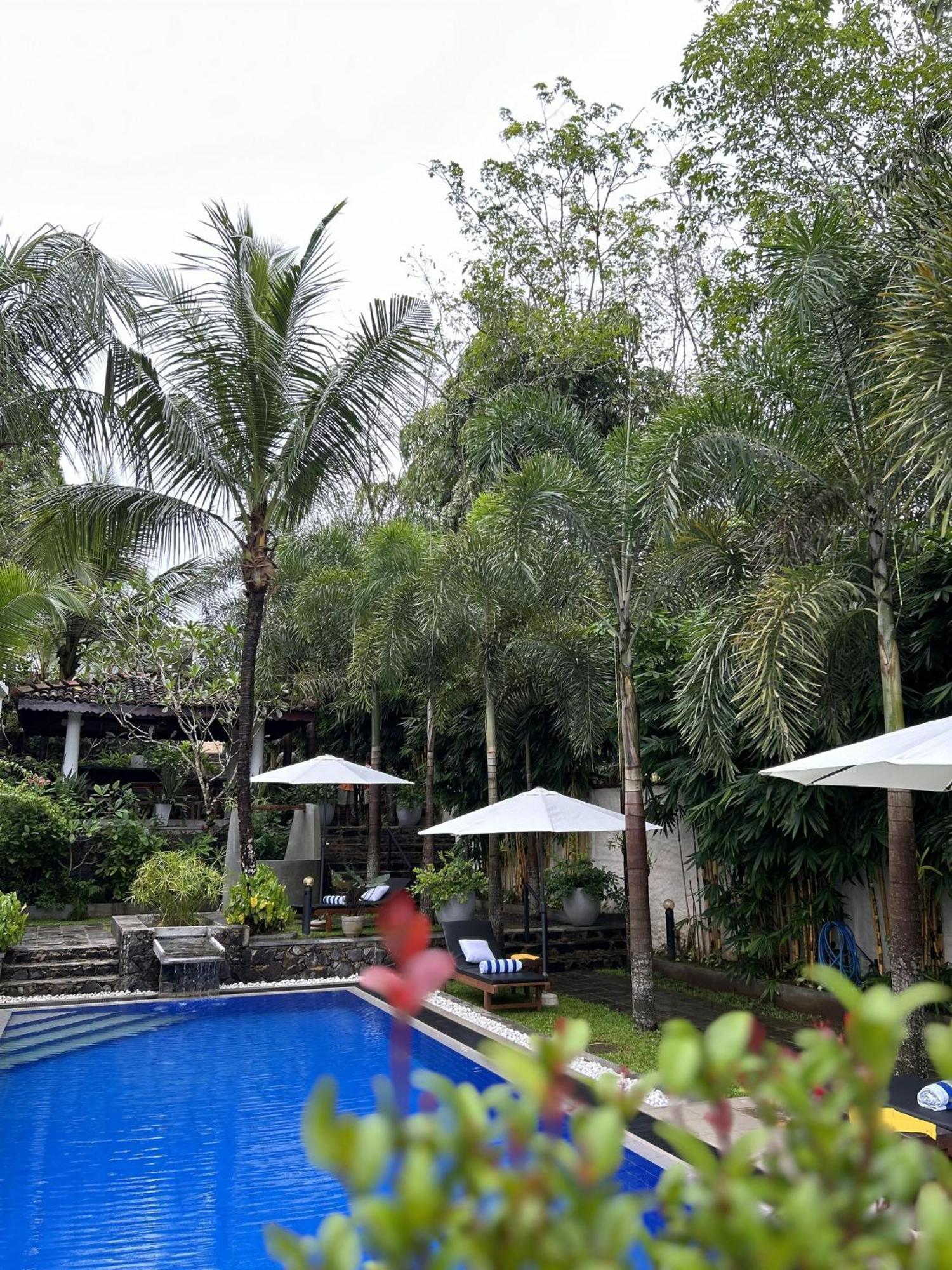 Terrace Garden Ayurveda Resort Weligama Ngoại thất bức ảnh